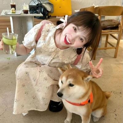 宠物情劫 海报