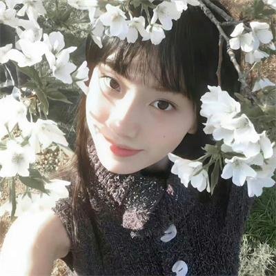 布衣神相国语 海报