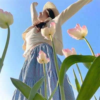 阿尔巴特罗斯 海报